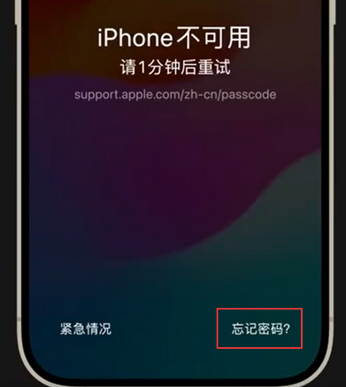 潮南苹果手机密码维修分享iPhone忘记了刚设置的密码 