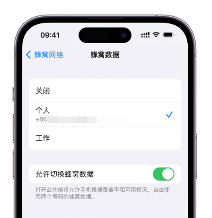 潮南苹果维修服务分享如何在iPhone上使用双卡 